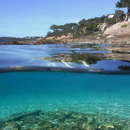 לינה וארוחת בוקר Les Pieds Dans L'eau ניס