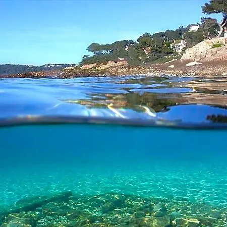 Séjour chez l'habitant Les Pieds Dans L'eau *