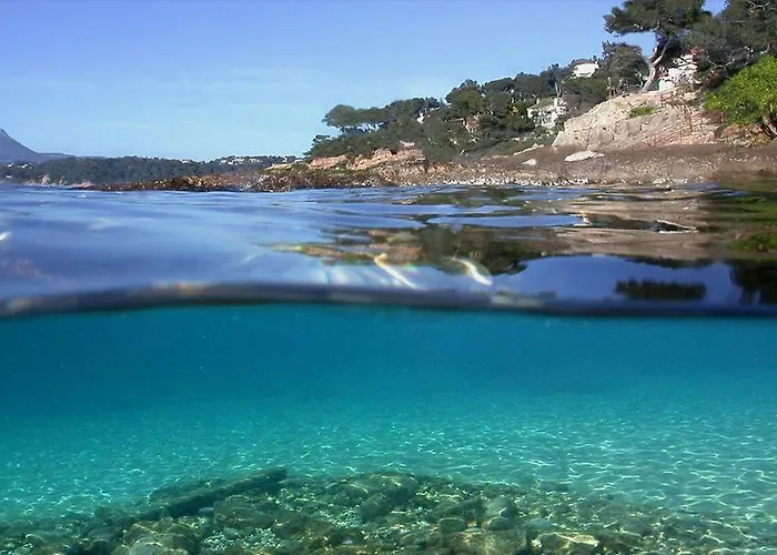 Oda ve Kahvaltı Les Pieds Dans L'eau Nice